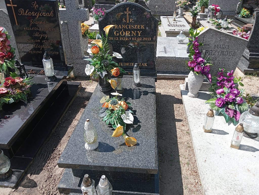 Grób Zofia Górna