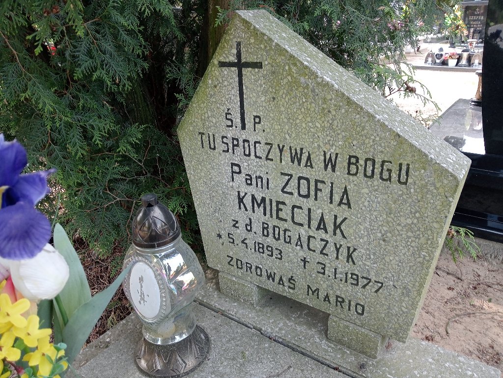 Zofia Kmieciak 1893 Mosina - Grobonet - Wyszukiwarka osób pochowanych