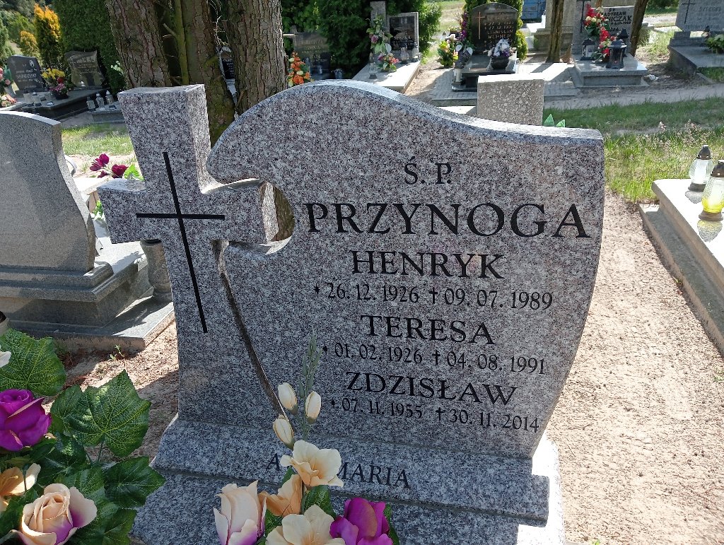 Henryk Przynoga 1926 Mosina - Grobonet - Wyszukiwarka osób pochowanych