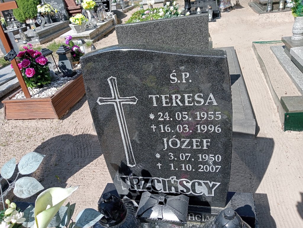 Józef Trzciński 1950 Mosina - Grobonet - Wyszukiwarka osób pochowanych