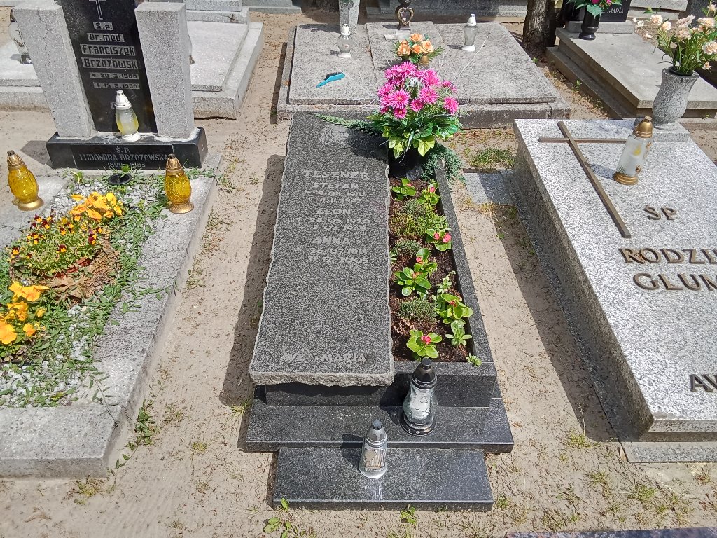 Grób Leon Teszner